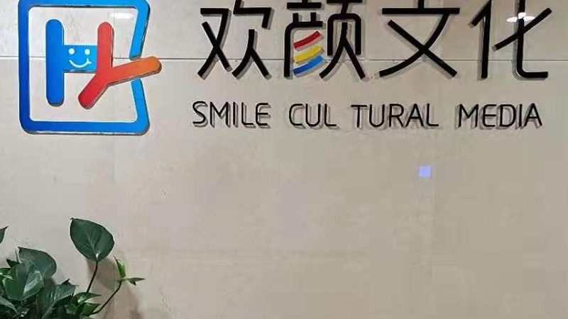 品牌设计公司如何打造视觉盛宴：优秀作品解析